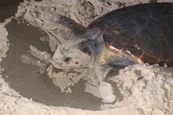 112667810_1467362143452226_1731785136779950224_n-Copy