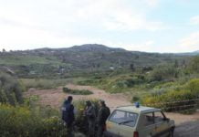 Coronavirus, controlli forestale