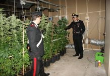 Serra marijuana sequestrata