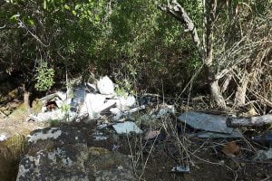 Agrigento, bosco pieno di immondizia: la denuncia dell'Ass. "La Passeggiata degli Dei"