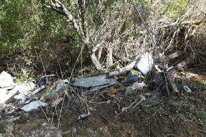 Agrigento, bosco pieno di immondizia: la denuncia dell'Ass. "La Passeggiata degli Dei"