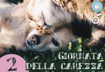 Domani, 2 settembre, terza “giornata della carezza” per micio e fido