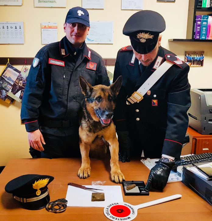 Carabinieri unità cinofile