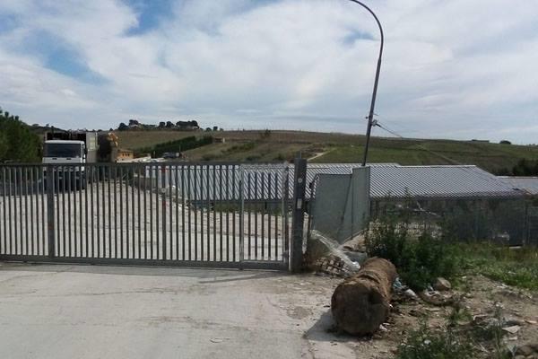 43052447_2247866442113094_3032255157313208320_n (Copy)