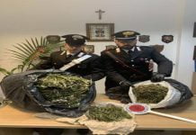 Messsina, 54enne arrestato per produzione, traffico e detenzione illecita di sostanze stupefacenti