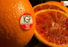 Arancia rossa Igp