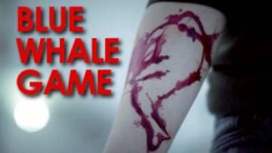 Sicilia, a Caltanissetta è stato segnalato il primo caso di Blue Whale