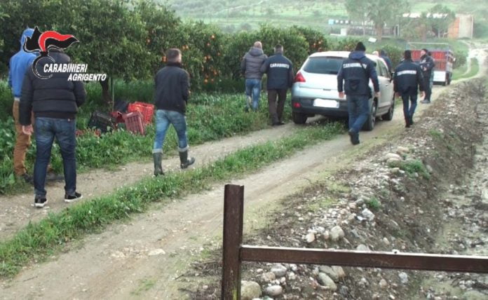 Controlli anti caporalato Ribera