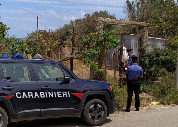 Carabinieri di Caronia-controlli-ambientali Carabinieri di Caronia-controlli-ambientali