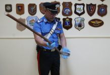 Sicilia, picchia il proprio cane con una zappa e tenta di seppellirlo ancora agonizzante: denunciato 85enne Maltrattamento animali