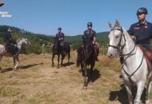 CC a Cavallo parco Nebrodi-2