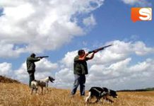 Stop alla caccia a Pantelleria