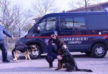 Unità cinofili carabinieri