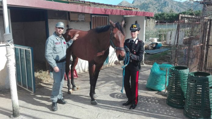 Incidente fantino a Palermo, identificato