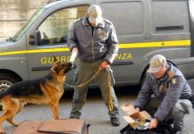 Agrigento, unità cinofili Gdf