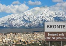 Bronte, Expo del pistacchio