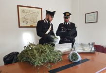 Coltivazione cannabis in casa