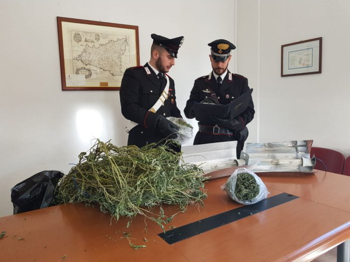 Coltivazione cannabis in casa