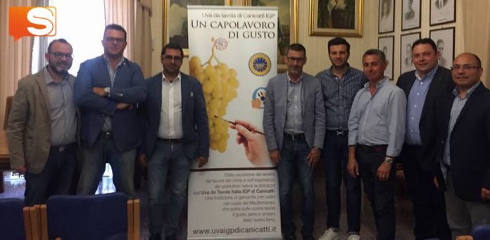 Nuoco Cda del consorzio Igp Canicattì