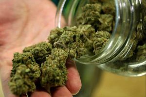 Sicilia, viaggiava in un furgone con 123 Kg di marijuana: arrestato 53enne