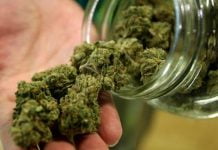 Caltanissetta, polizia seda lite domestica e trova marijuana in cucina