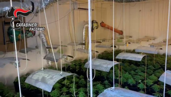 Cefalù, scoperta piantagione di droga e tritolo