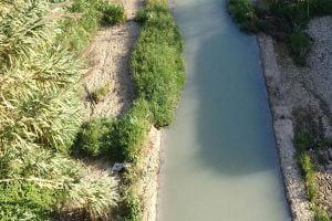 Fiume Oreto inquinato