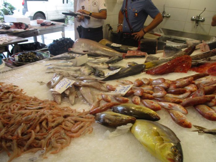 Foto dei controlli Carabinieri e Capitaneria di Porto-1