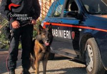 Grotte-operazione-roba-da-cavalli