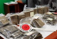 Hashish-sequestrata-a-Palermo