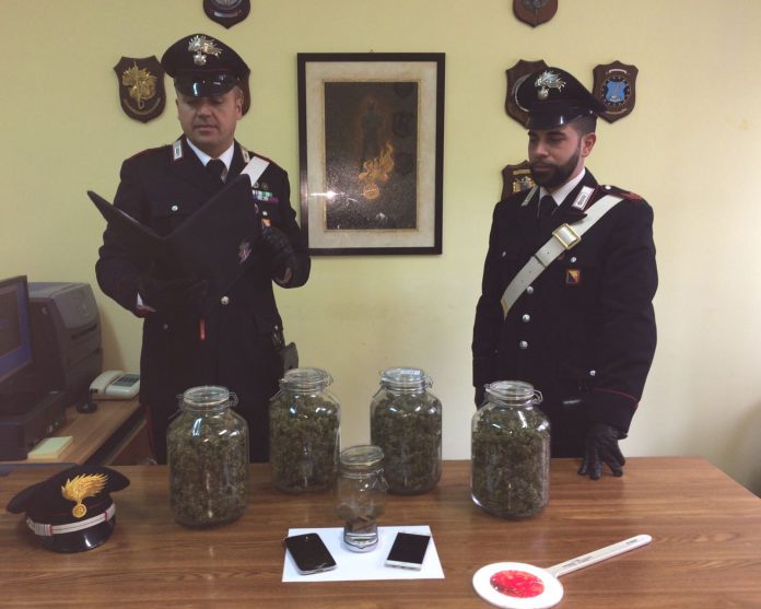 Marijuana e hashish