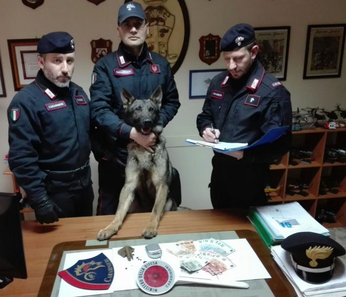 Cane Ron dei Carabinieri