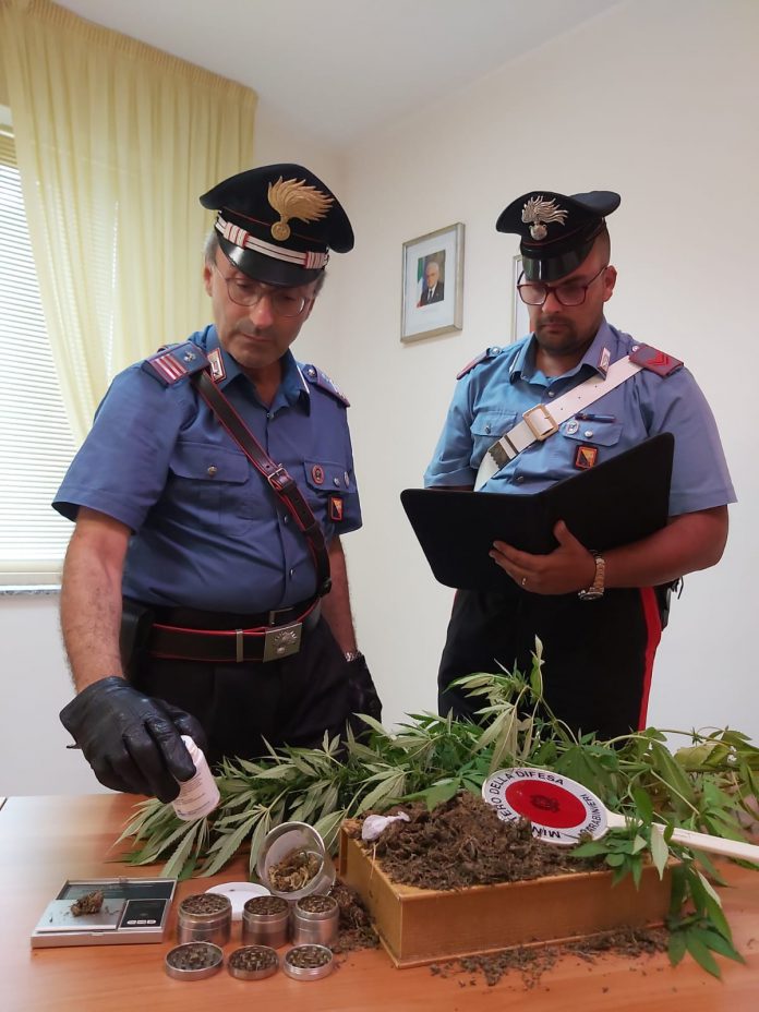 Brolo,coltivava in casa marijuana