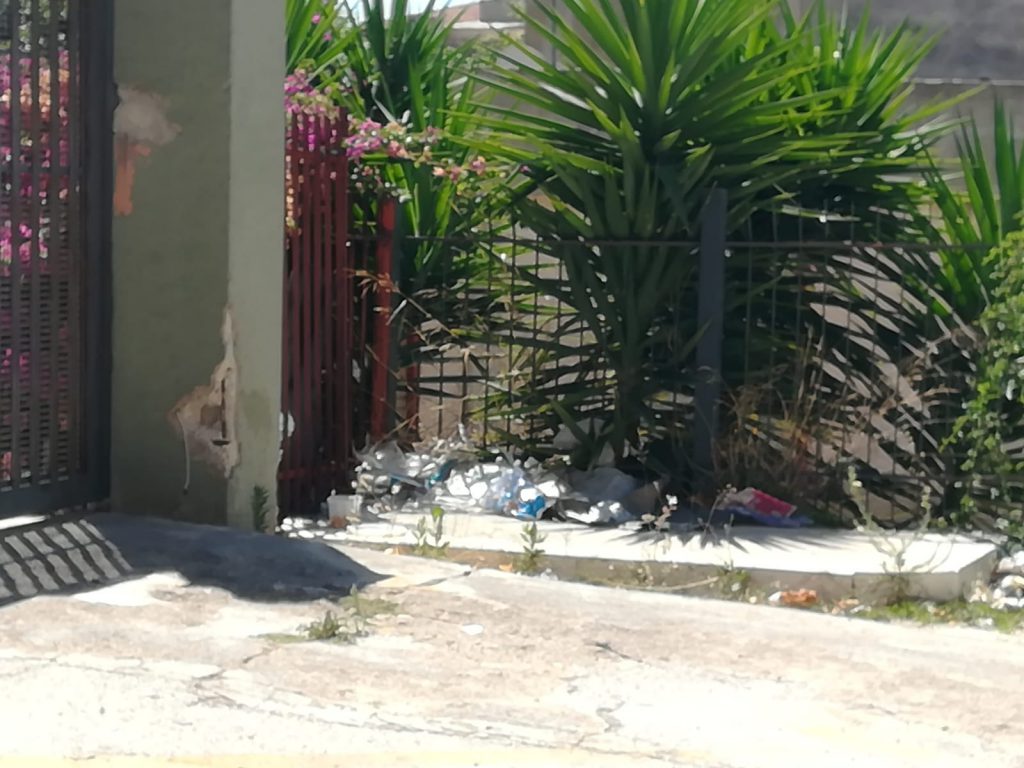 Canicattì, troppi ratti in città: la denuncia dei cittadini(Foto) Canicattì, troppi ratti in città: la denuncia dei cittadini(Foto)