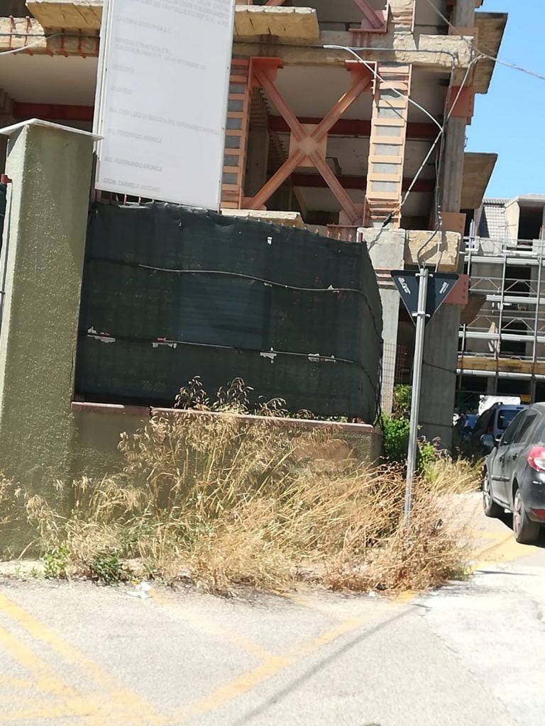 Canicattì, troppi ratti in città: la denuncia dei cittadini(Foto) Canicattì, troppi ratti in città: la denuncia dei cittadini(Foto)