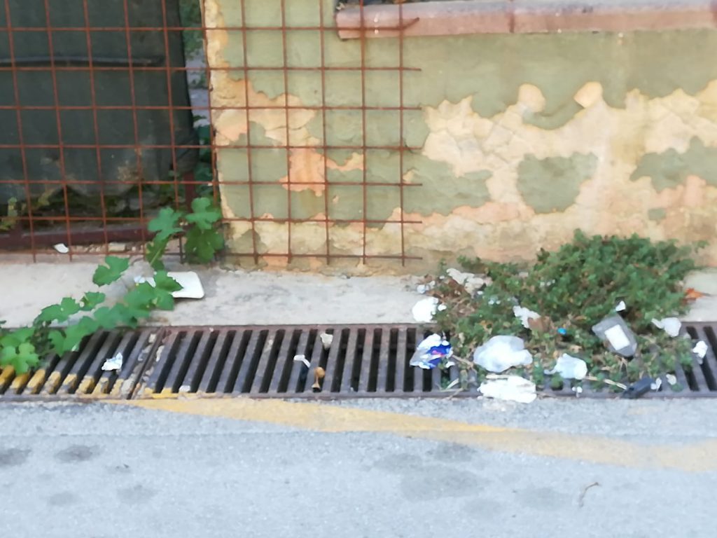 Canicattì, troppi ratti in città: la denuncia dei cittadini(Foto) Canicattì, troppi ratti in città: la denuncia dei cittadini(Foto)