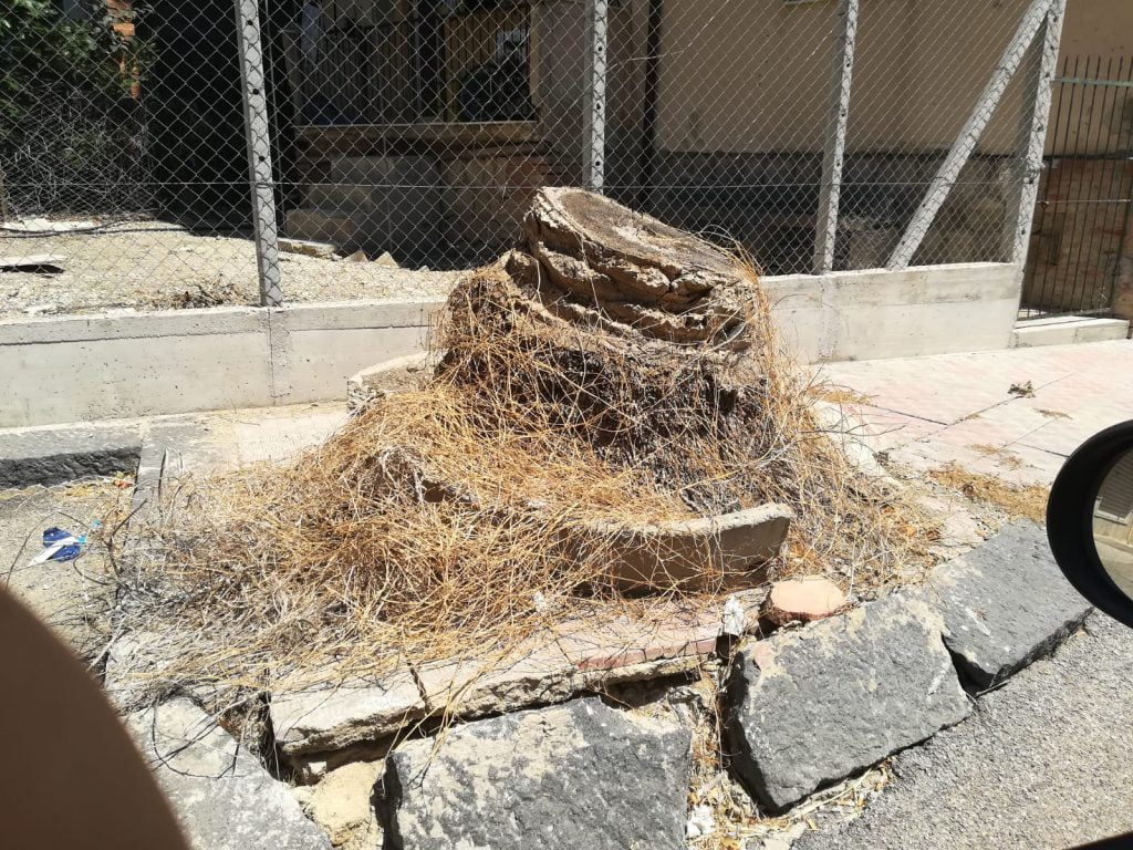 Canicattì, troppi ratti in città: la denuncia dei cittadini(Foto) Canicattì, troppi ratti in città: la denuncia dei cittadini(Foto)