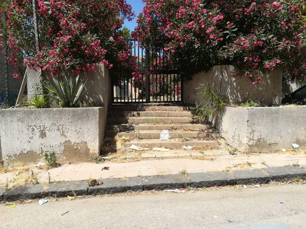 Canicattì, troppi ratti in città: la denuncia dei cittadini(Foto) Canicattì, troppi ratti in città: la denuncia dei cittadini(Foto)