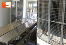 Canicattì, relazione dell’Asp sui fatti accaduti all’interno del rifugio sanitario di C.da Calandra