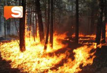 Sciacca, giovani piromani in azione: denunciati due ragazzini di 14 anni Incendi Sicilia