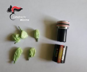 Capo d’Orlando, Controlli straordinari dei Carabinieri nel fine settimana: tre arresti e 5 denunce Capo d’Orlando, Controlli straordinari dei Carabinieri nel fine settimana: tre arresti e 5 denunce