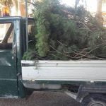 Canicattì, aree verdi abbandonate: massiccia opera di bonifica in tutto il territorio cittadino (Foto)