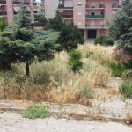Canicattì, aree verdi abbandonate: massiccia opera di bonifica in tutto il territorio cittadino (Foto)