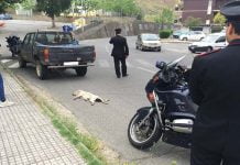 Caltanissetta, cane legato ad un’auto e trascinato: intervengono i carabinieri