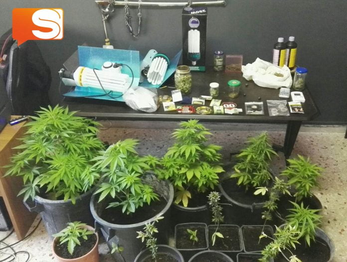 “Coltivazione e detenzione di sostanze stupefacenti” i carabinieri arrestano 52 enne di Cianciana.