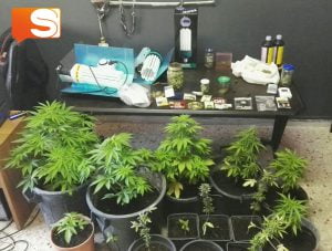 “Coltivazione e detenzione di sostanze stupefacenti” i carabinieri arrestano 52 enne di Cianciana.