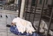 Sgombero Clochard a Messina