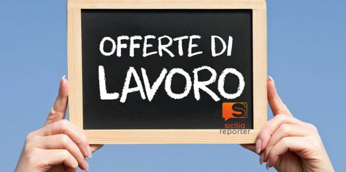Offerte di lavoro, progetto Kalat