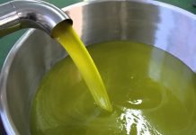 Olio