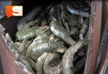 Sicilia, sequestrati 100 chili di pesce a ristoranti, pescherie e supermercati